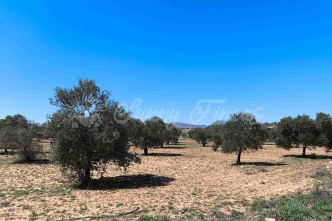 Helårsgrund i Yecla, Murcia, Yecla - € 26.500 | Ref: SF0526 - foto 9